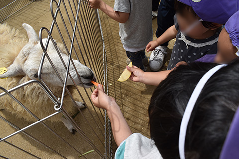 動物さんたちに会いに