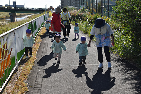 芝川散歩に出かけました