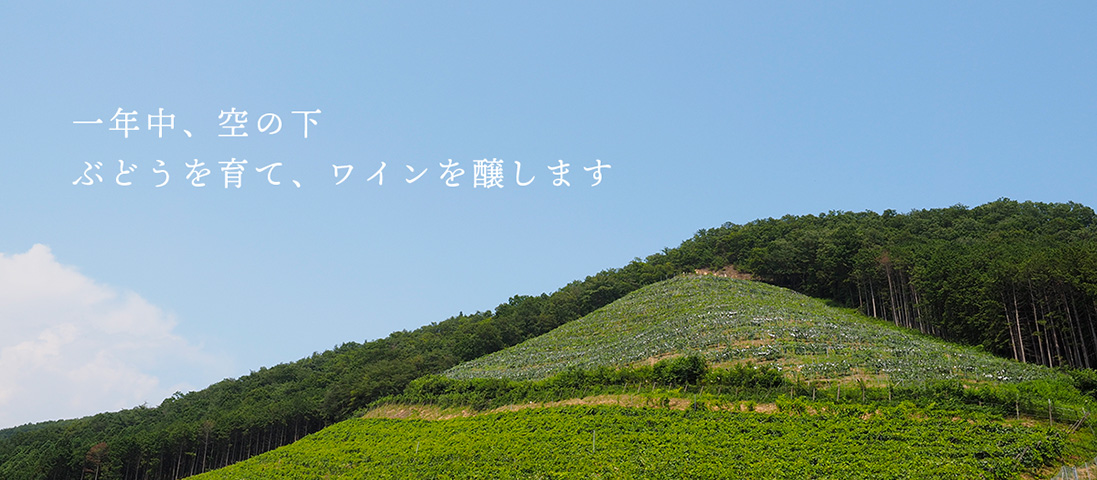 適材適所